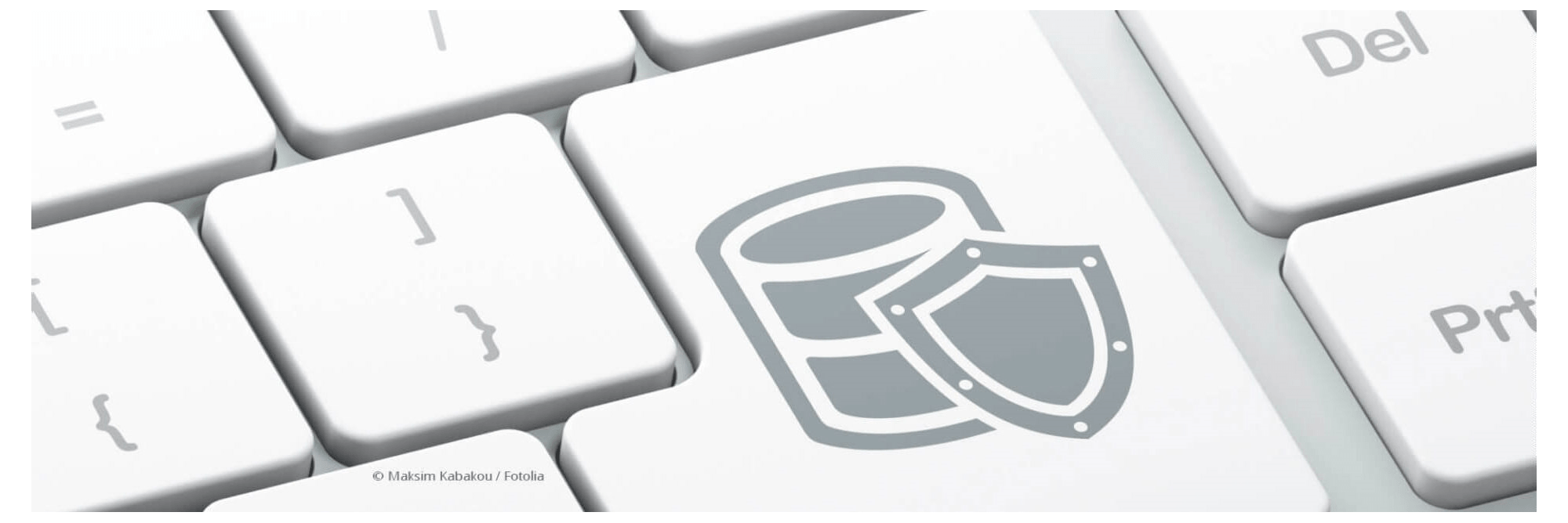 Headerfoto "Laptoptastatur mit Icon Schutzschild"